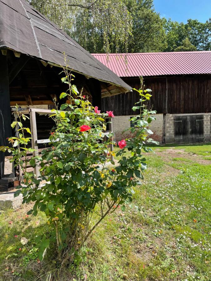 Schellnhof Forsthaus Am Waldrand Lejlighed Nidda Eksteriør billede